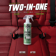 Express Leather Care Kit