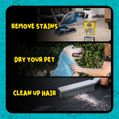 Interior Pet Mess Kit