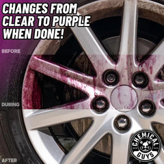 Wheel Clean & Protect Kit